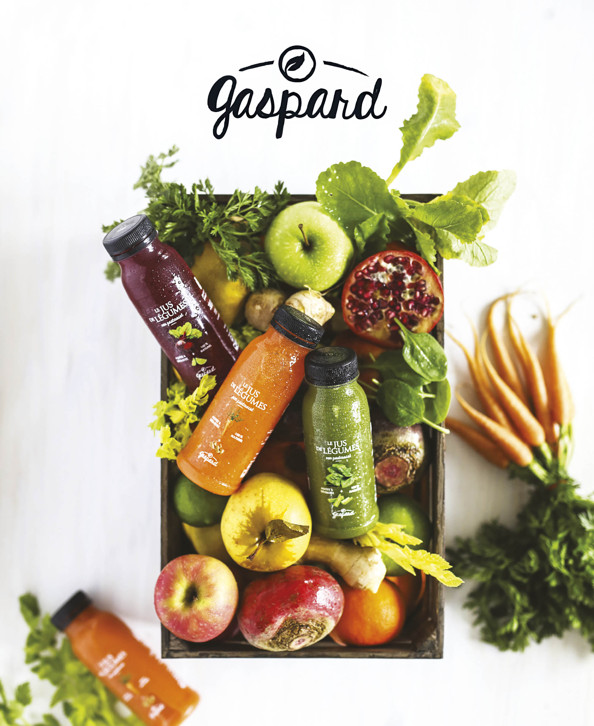 Product-Design-Gaspard-Legumes-2