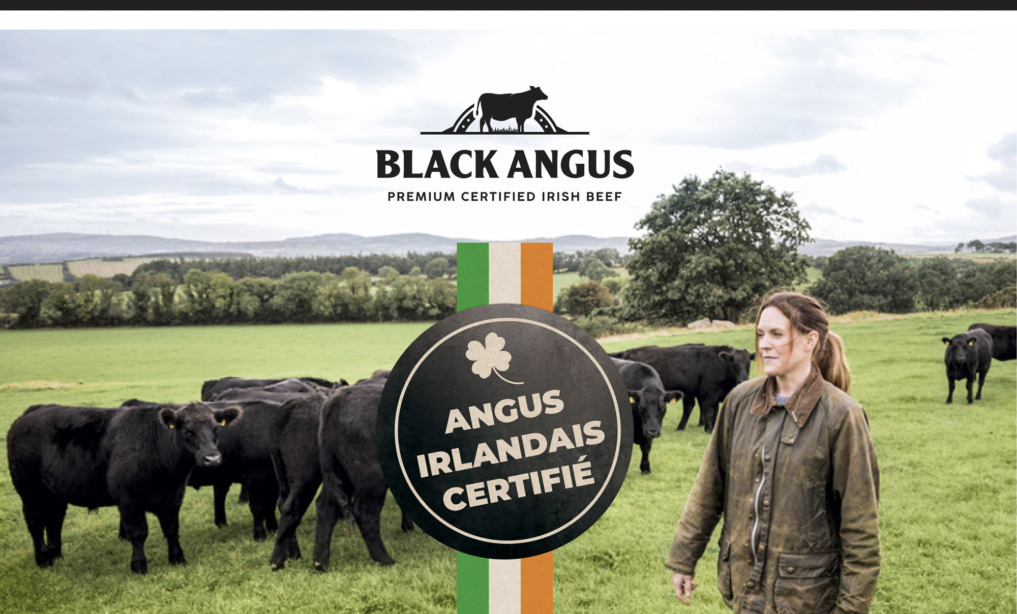 PACK_BORDBIA_ANGUS_1 PACK_BORDBIA_ANGUS_1