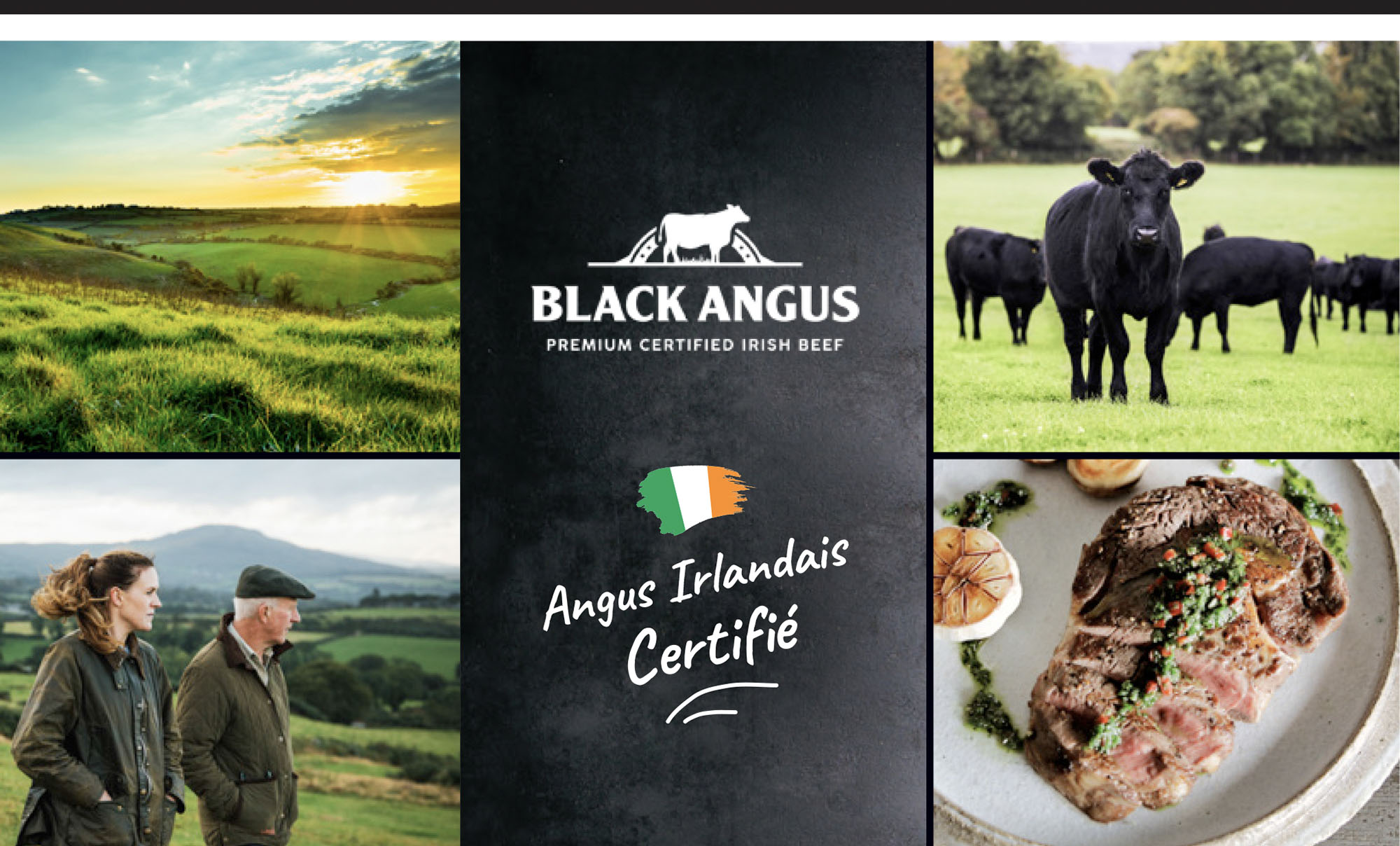 PACK_BORDBIA_ANGUS_3 PACK_BORDBIA_ANGUS_3