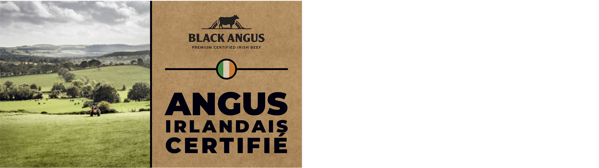 PACK_BORDBIA_ANGUS_4