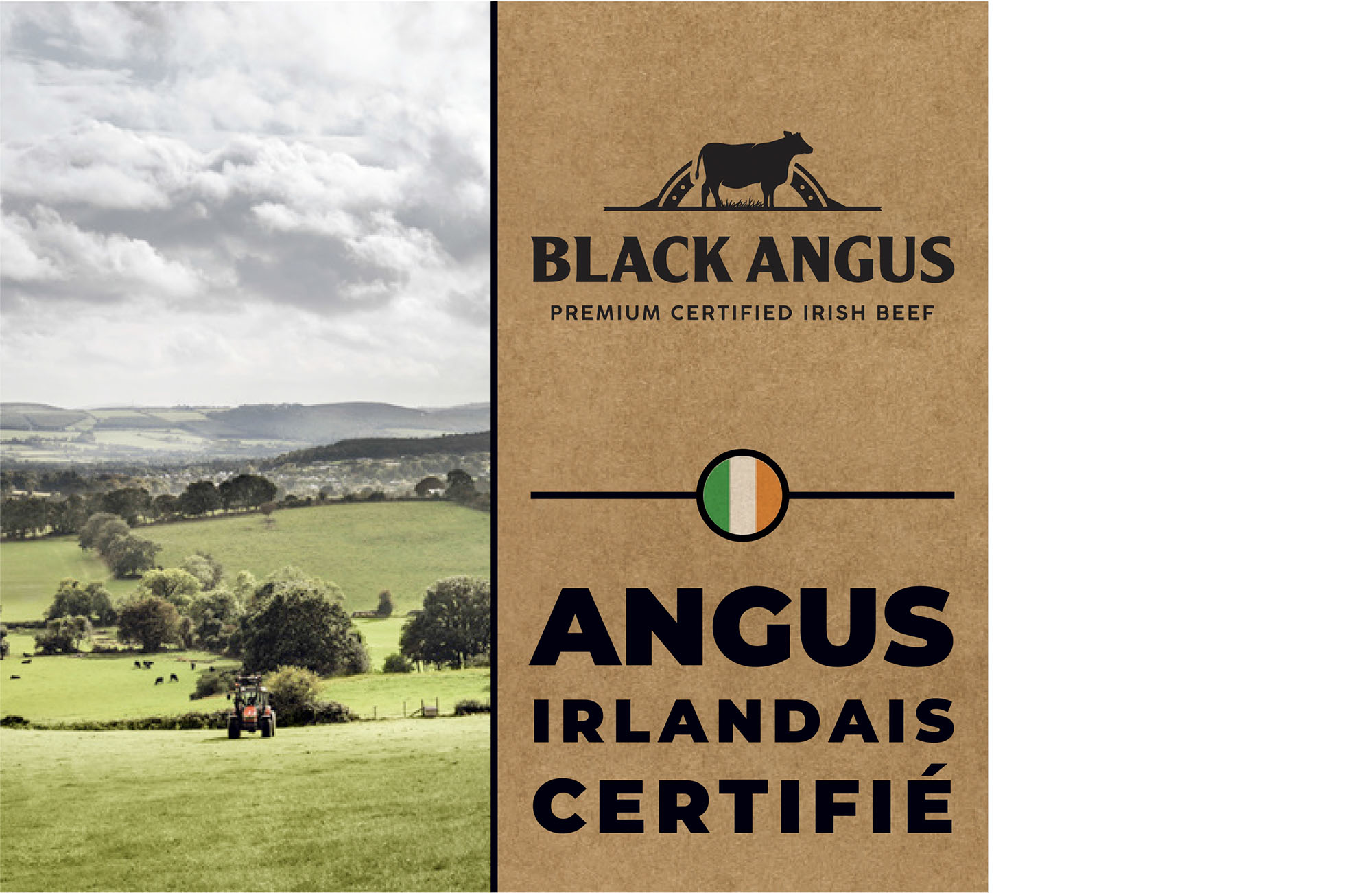 PACK_BORDBIA_ANGUS_5